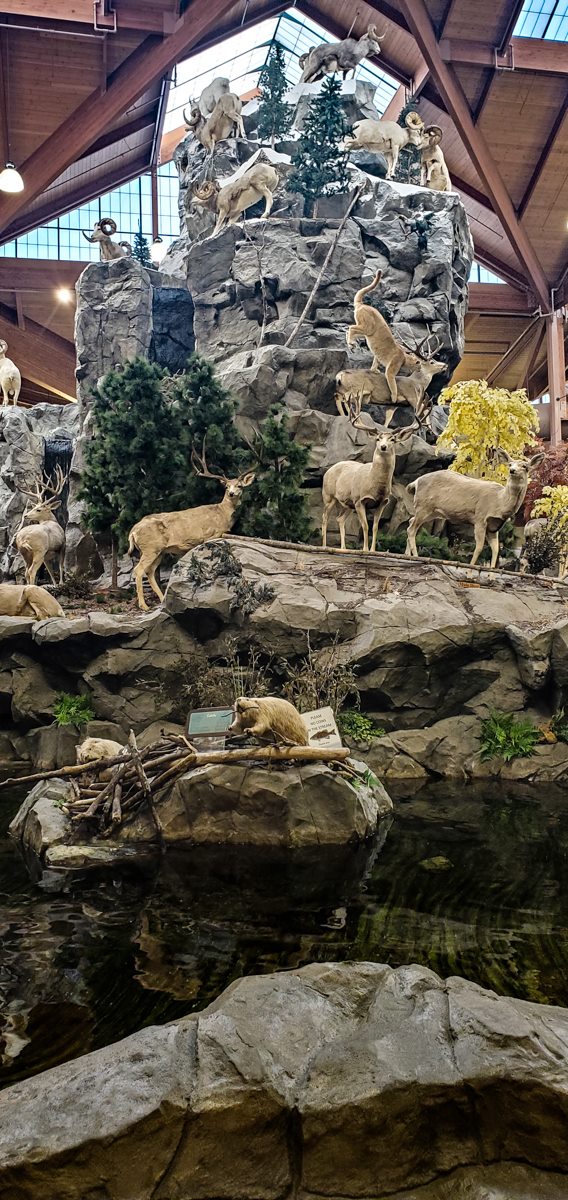 Stuffed animals on rocks