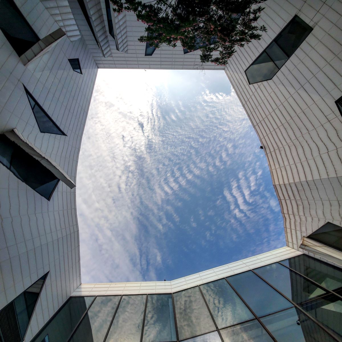 open sky in wuhan building