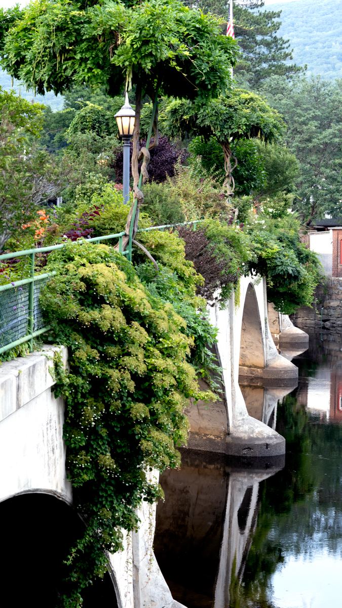 bridge with flowers