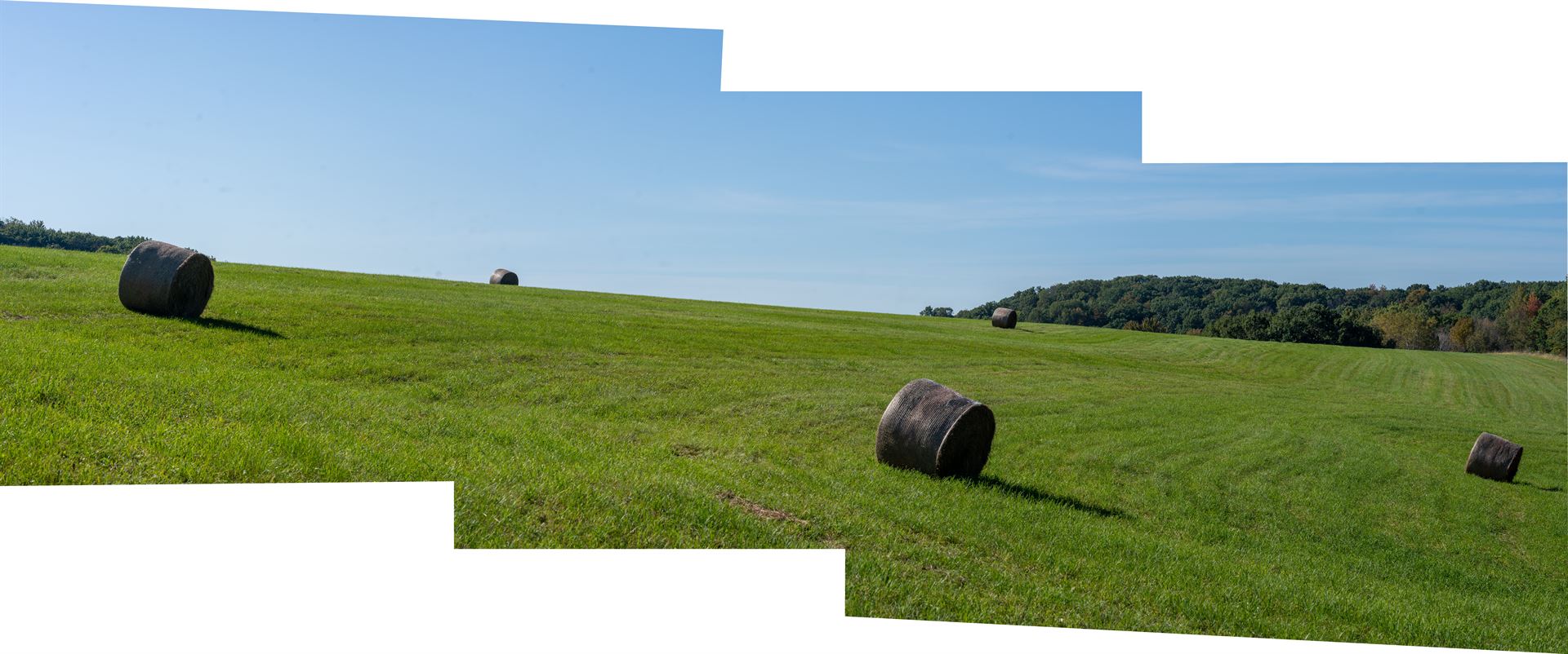 hill with hay bales 