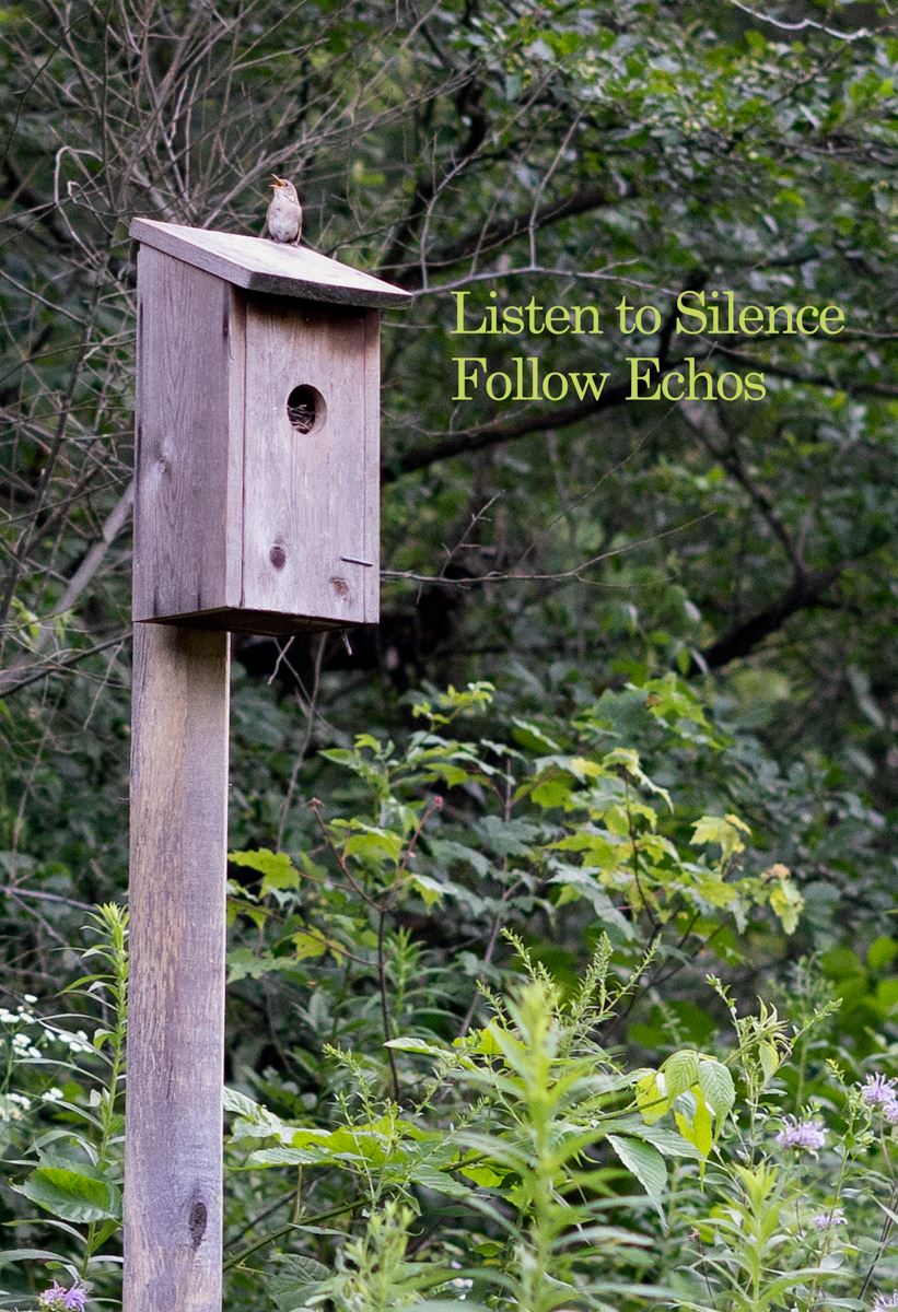 bird house green leaves and text