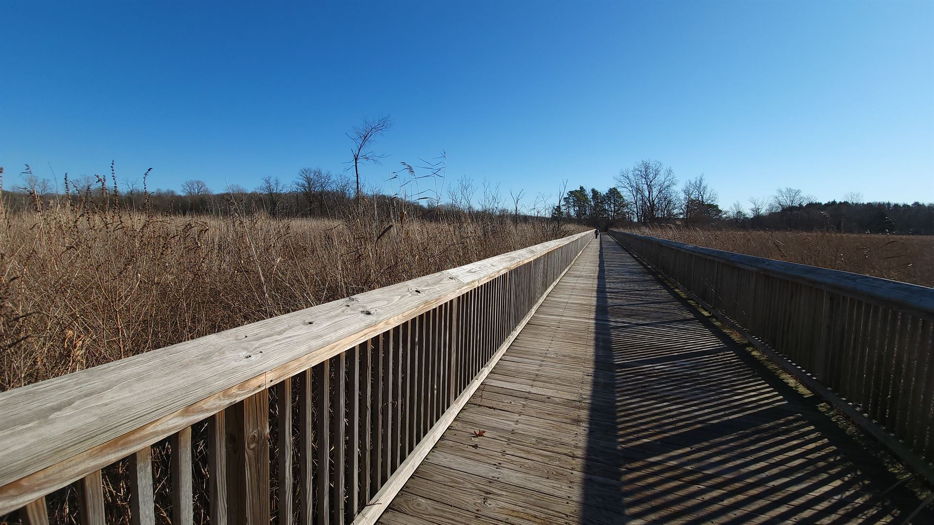 wooden bridge over marsh