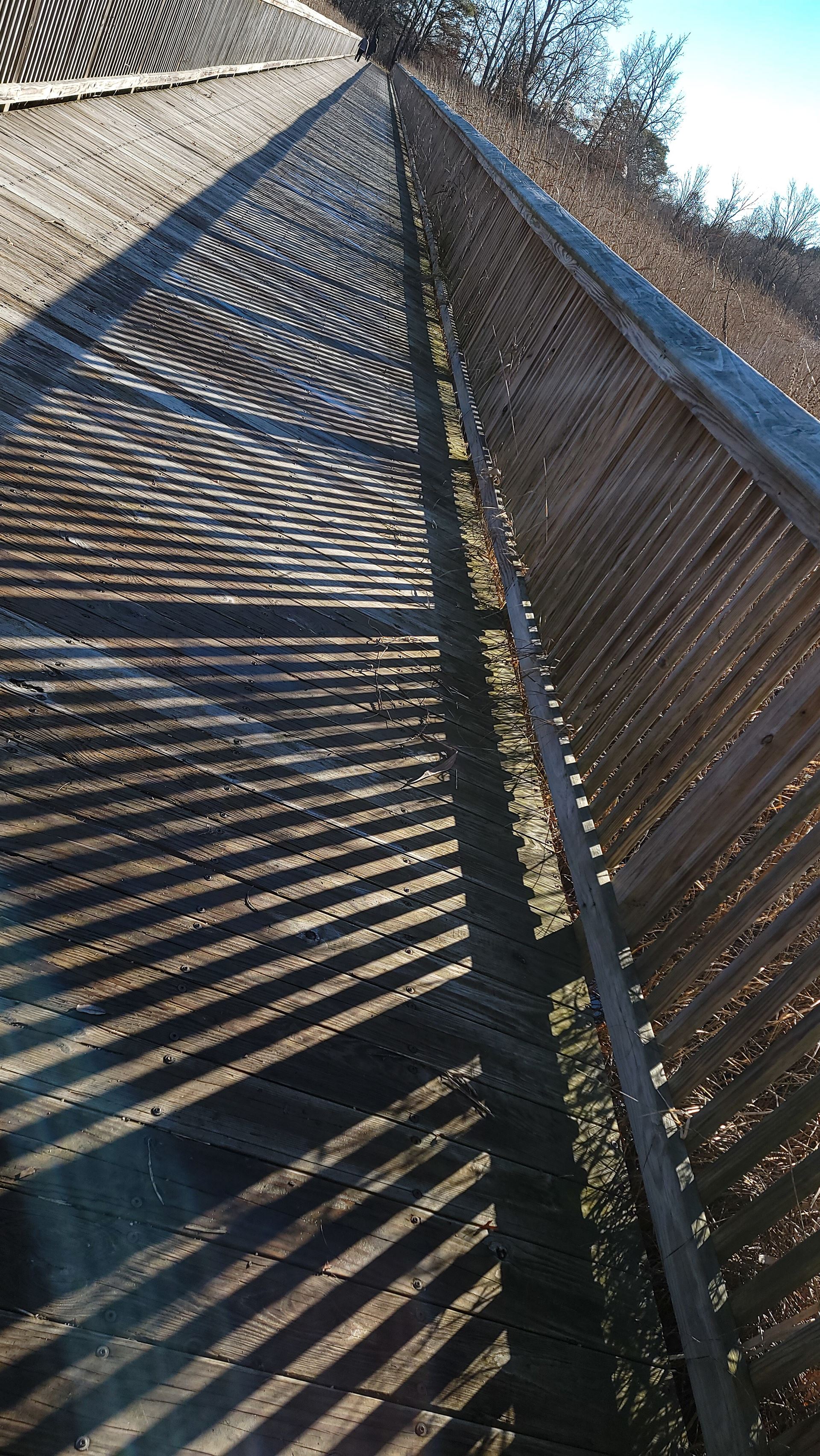 shadow on bridge in marsh