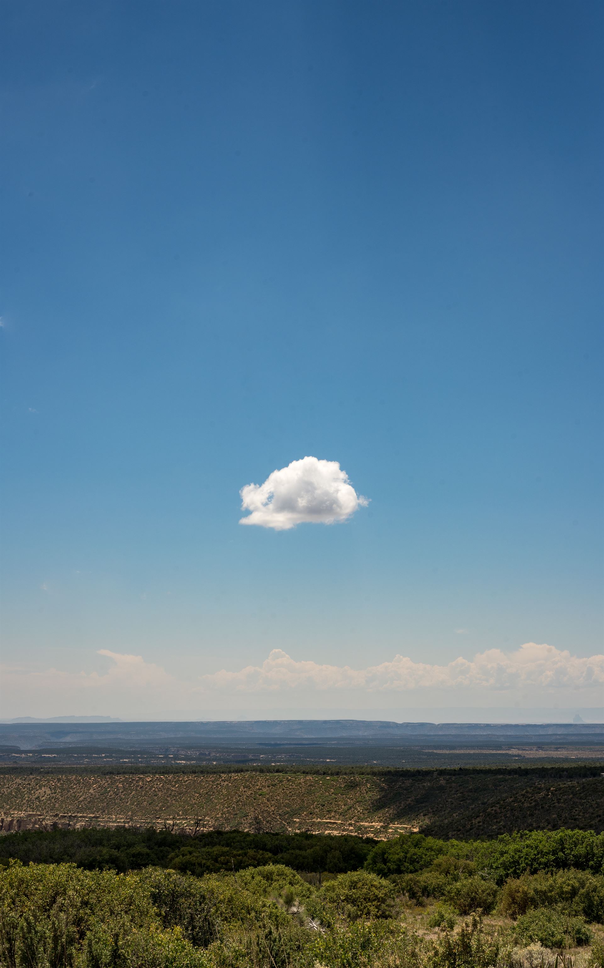 one cloud in the sky